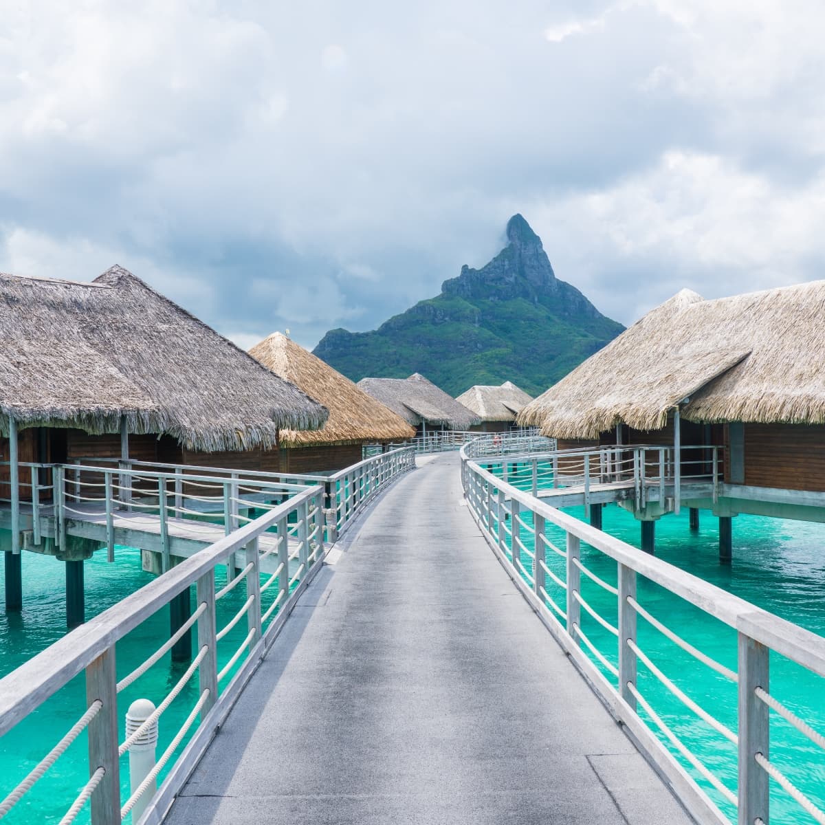 Tropical Paradise Escape