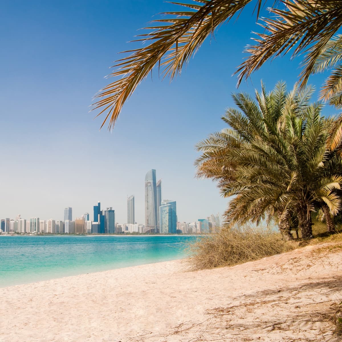 Luxury and Innovation: Exploring Dubai's Wonders