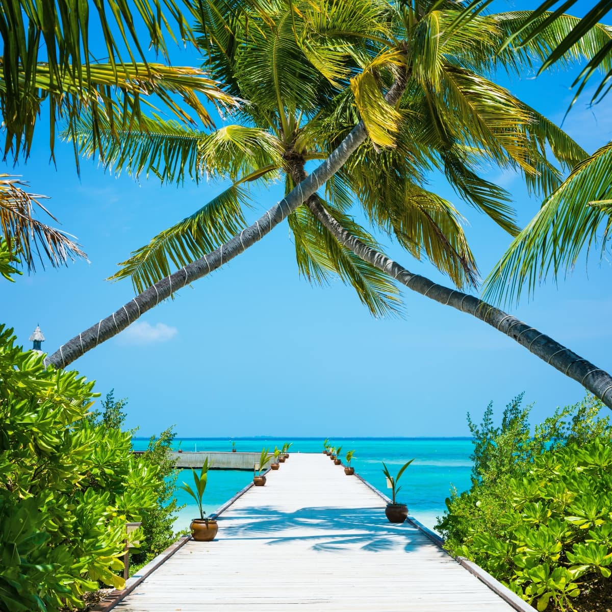 Tropical Paradise: Maldives Island Escape