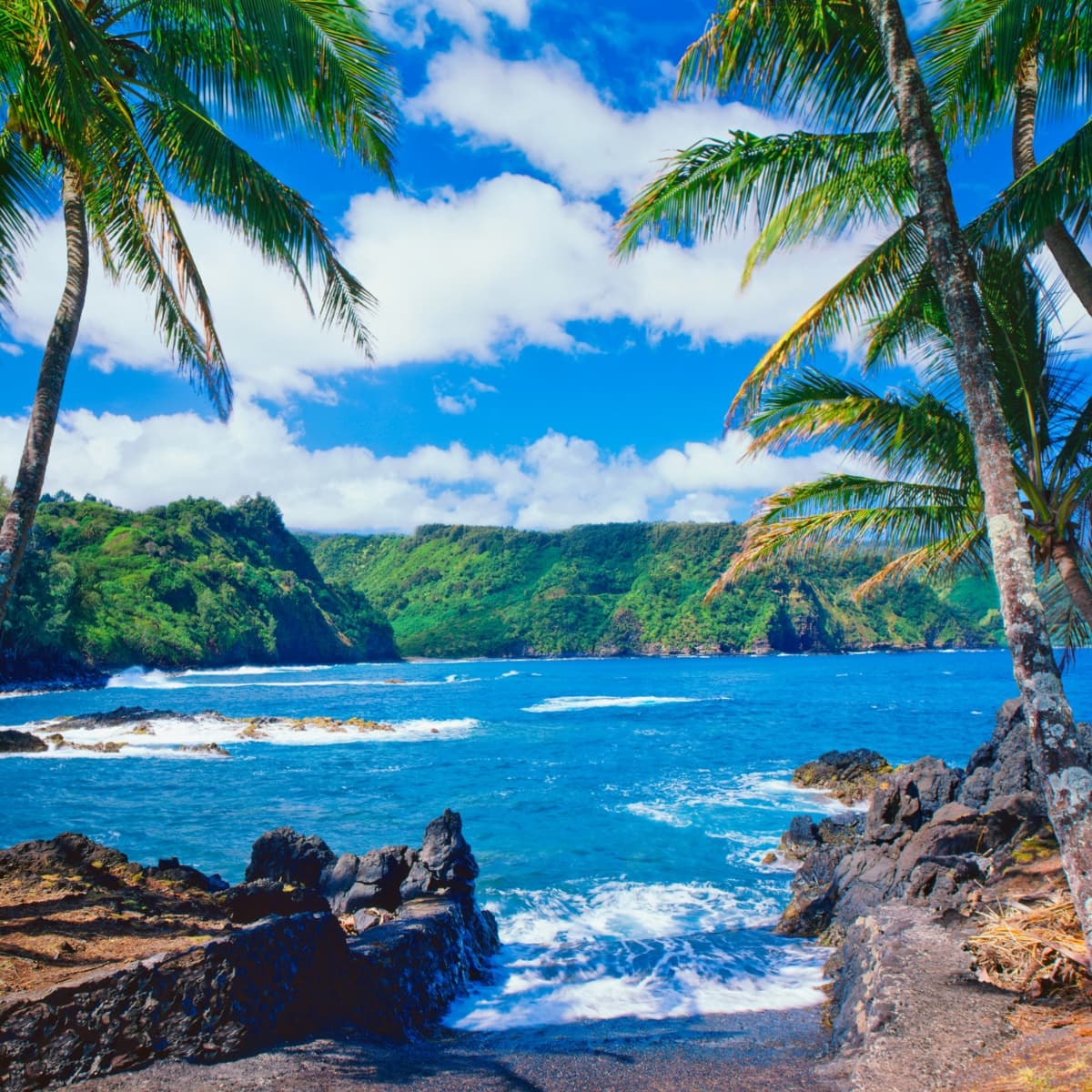 Tropical Paradise Adventure: Maui's Natural Wonders