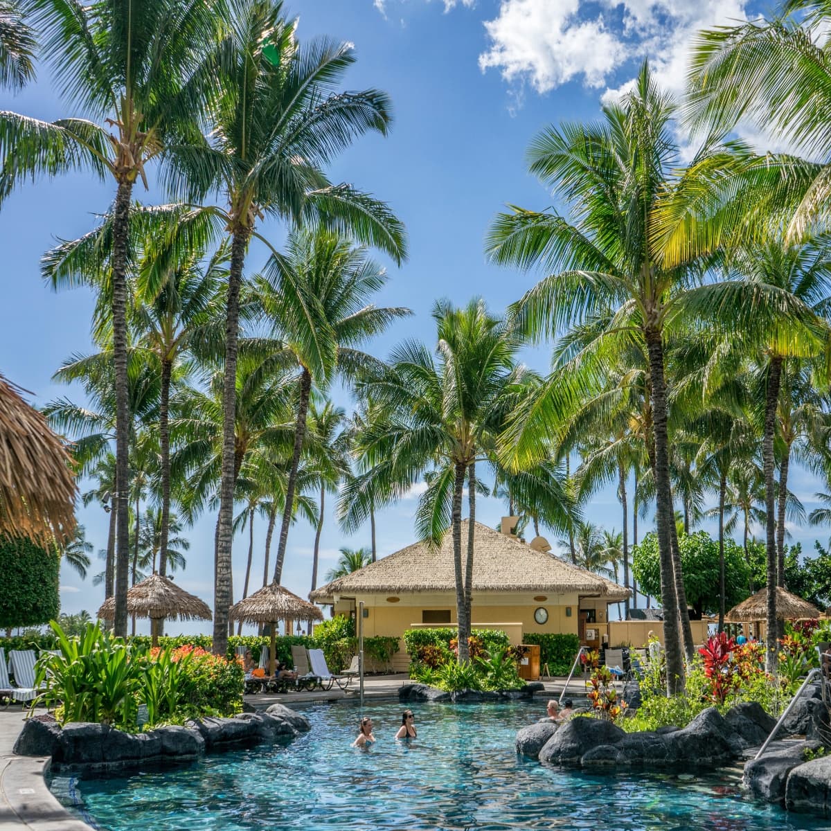 Maui Magic: A Tropical Paradise Adventure